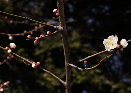 140219_13.jpg