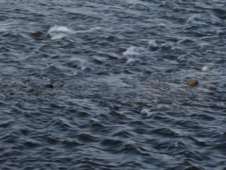 140220_18.jpg